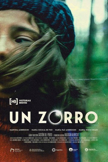 Locandina di Un zorro