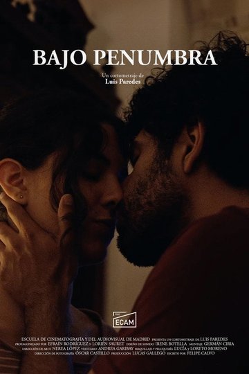 Locandina di Bajo Penumbra