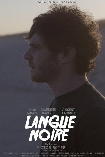 Locandina di Langue noire