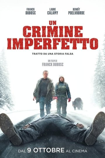 Locandina di Un crimine imperfetto
