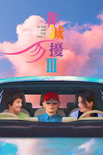 Locandina di 非诚勿扰3