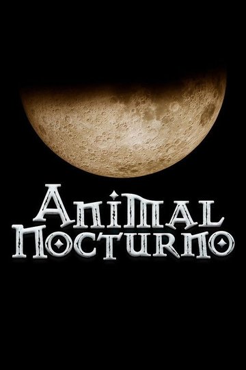 Locandina di Animal nocturno