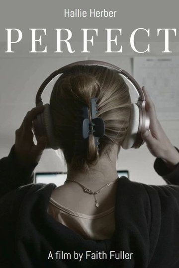Locandina di Perfect