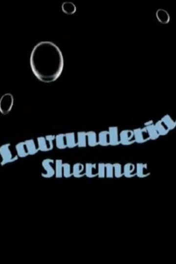 Locandina di Lavanderia Shermer