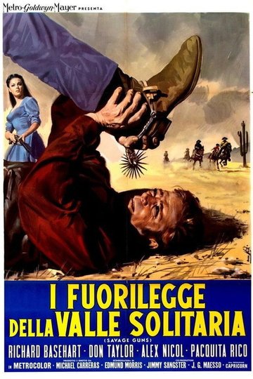 Locandina di I fuorilegge della valle solitaria