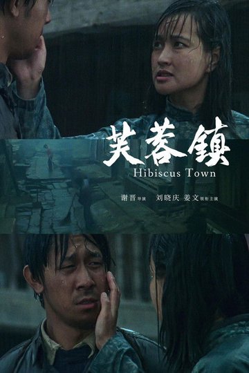 Locandina di Hibiscus Town
