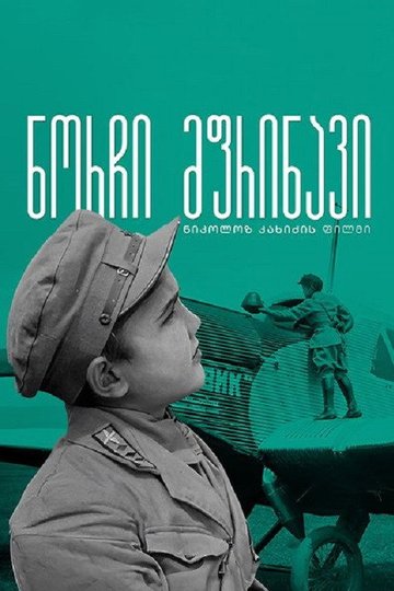 Locandina di ნორჩი მფრინავი