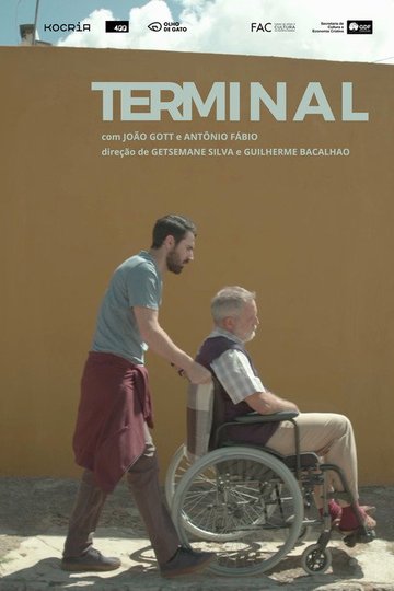 Locandina di Terminal