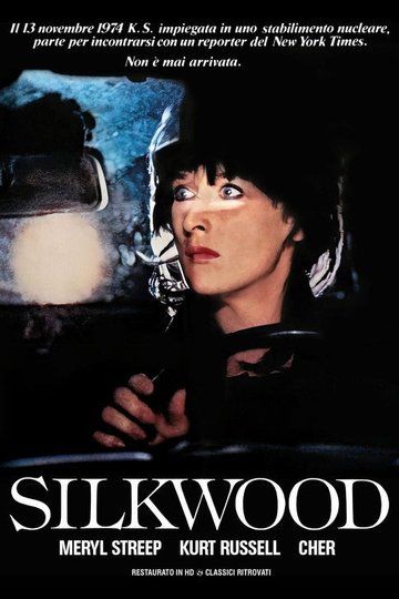 Locandina di Silkwood