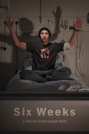 Locandina di Six Weeks