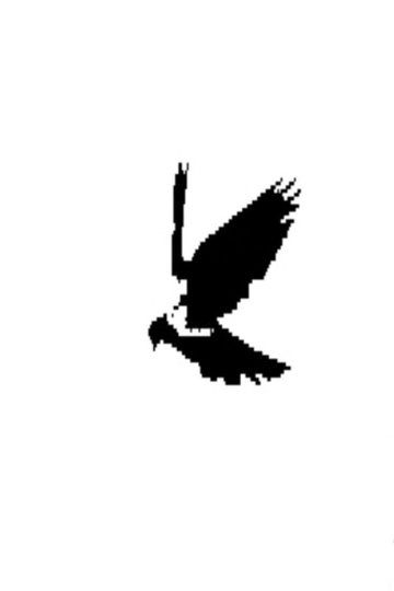 Locandina di birdland #2