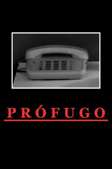Locandina di Prófugo