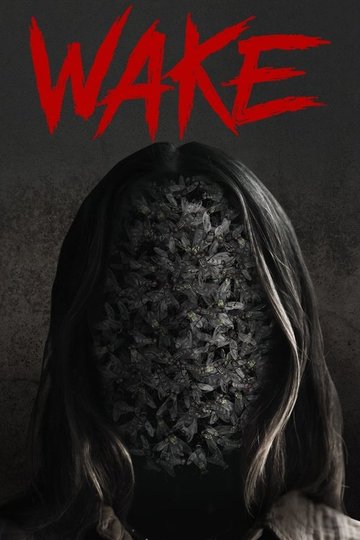 Locandina di Wake