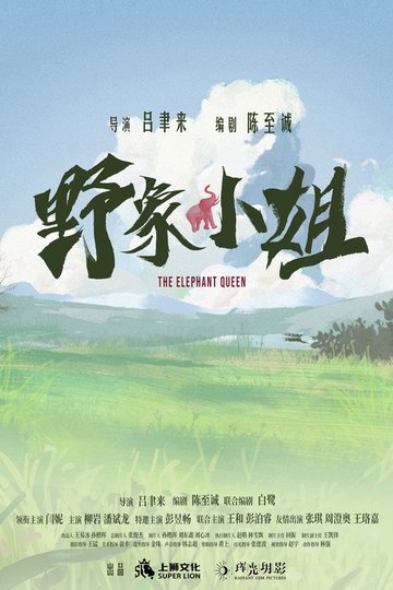 Locandina di 野象小姐