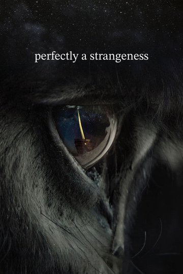 Locandina di Perfectly a Strangeness