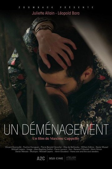 Locandina di Un déménagement