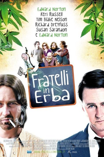 Locandina di Fratelli in erba