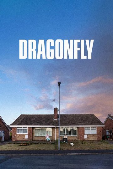 Locandina di Dragonfly