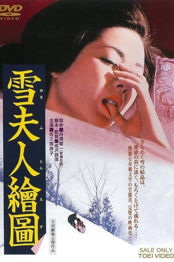 Locandina di 雪夫人繪圖