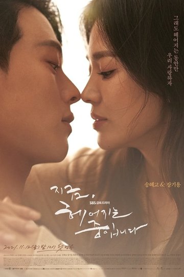 Locandina di 지금, 헤어지는 중입니다