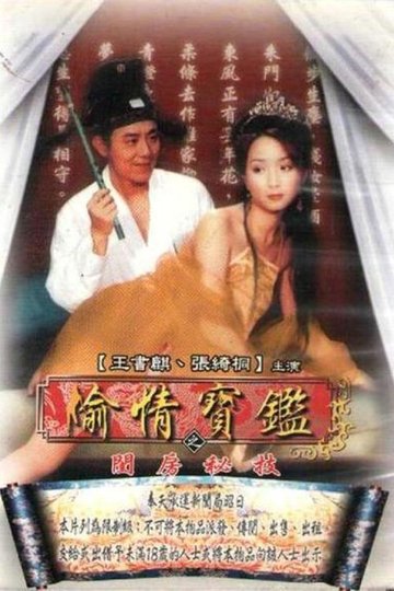 Locandina di 偷情宝鉴
