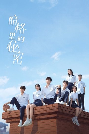 Locandina di 暗格里的秘密