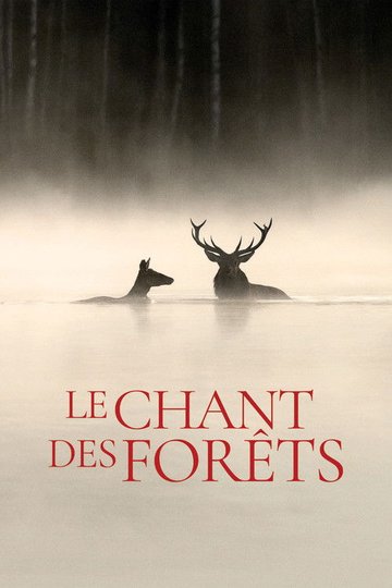 Locandina di Il canto della foresta
