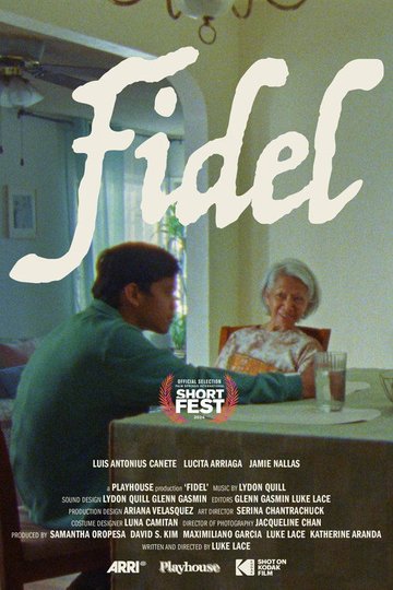 Locandina di Fidel
