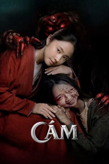 Locandina di CÁM