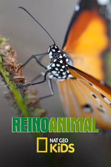 Locandina di Reino Animal