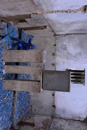 Locandina di Blue Territory