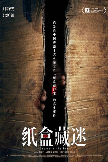 Locandina di 纸盒藏迷