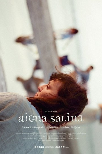 Locandina di Aigua Salina