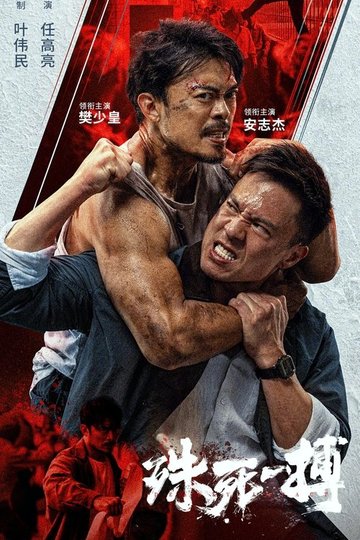 Locandina di 殊死一搏