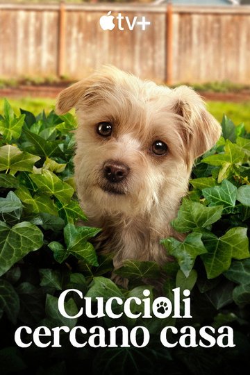 Locandina di Cuccioli cercano casa