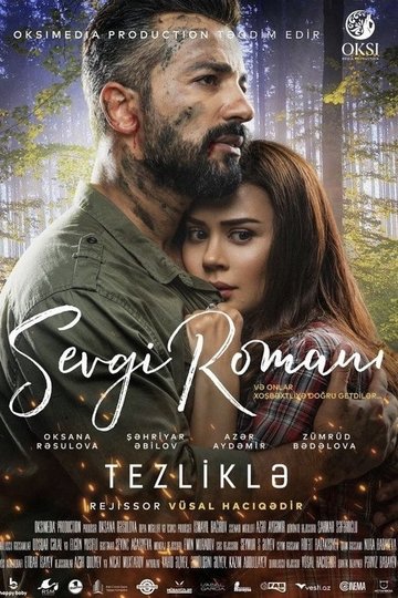 Locandina di Sevgi Romanı
