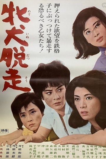 Locandina di 牝犬脱走