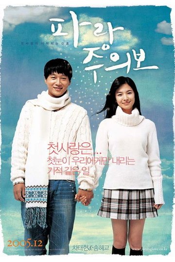 Locandina di 파랑주의보