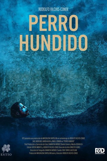 Locandina di Perro Hundido