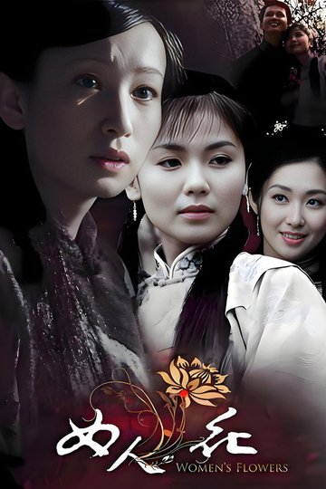 Locandina di 女人花