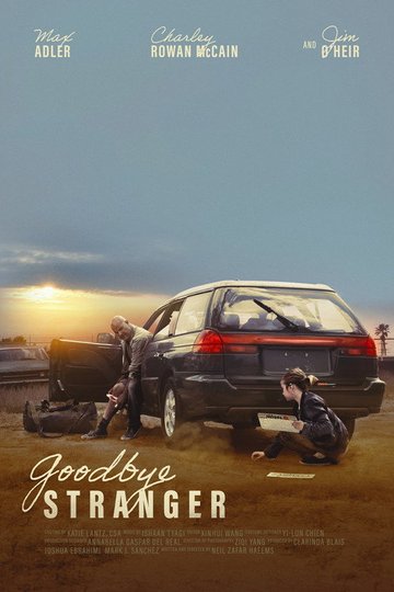 Locandina di Goodbye Stranger