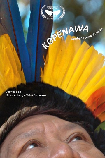 Locandina di Kopenawa: Sonhar a Terra-Floresta