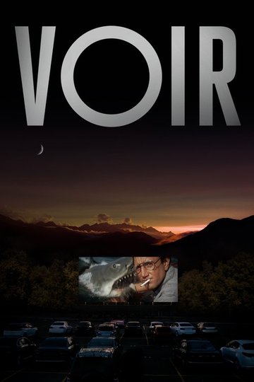 Locandina di Voir