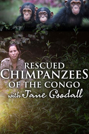 Locandina di Rescued Chimpanzees of the Congo with Jane Goodall