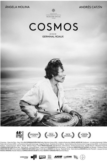 Locandina di Cosmos