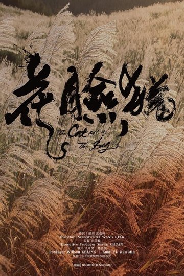 Locandina di 花臉貓：修羅道