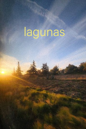 Locandina di lagunas