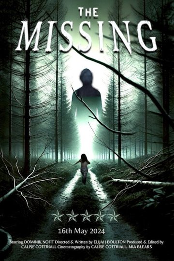 Locandina di The Missing