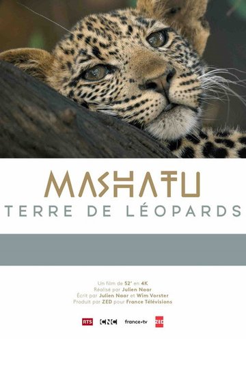Locandina di Mashatu: Land of Leopards