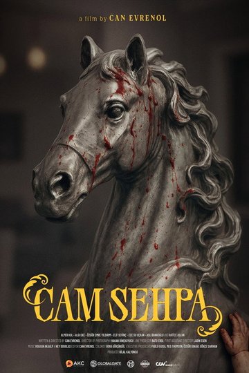Locandina di Cam Sehpa